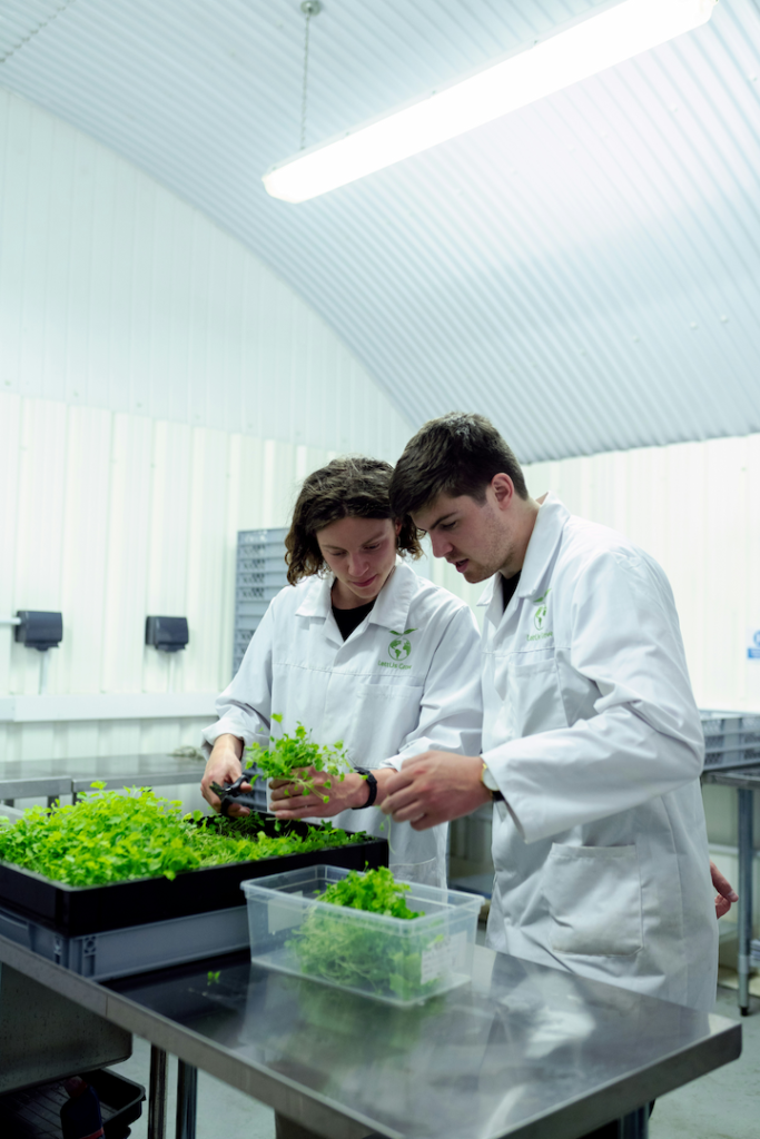 Two food scientists looking at greenhouse crop